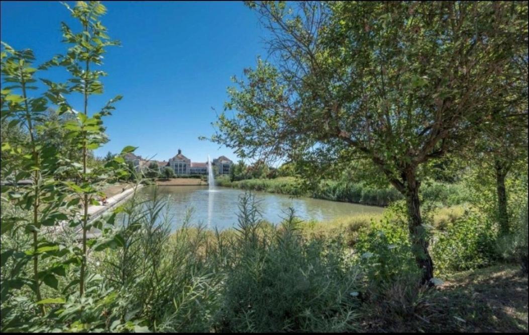 Apartment Castle - 10 Minutes De Bussy-Saint-Georges